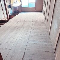 画像1477